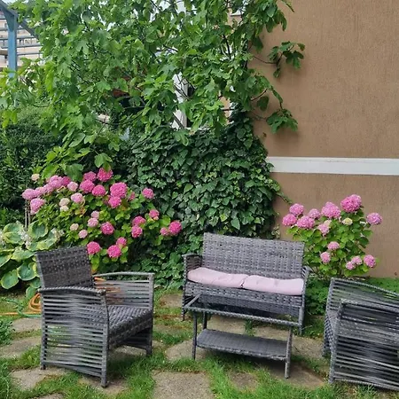 Domus Spacious Szveti Vlasz