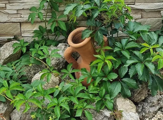 Apartamento Domus Extra